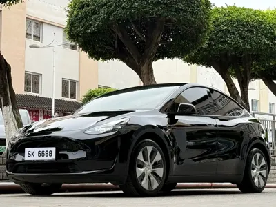 Tesla Model Y · 2022 год