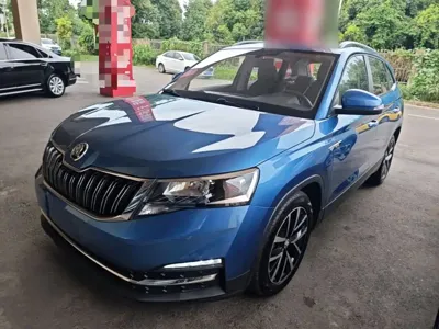 Skoda Kamiq · 2018 год