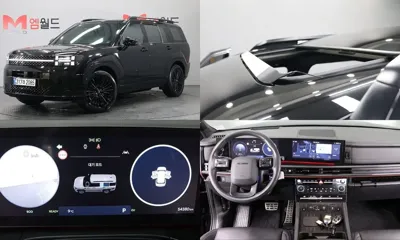 Hyundai Santafe · 2024 год