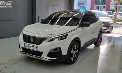 Peugeot 3008 · 2019 год
