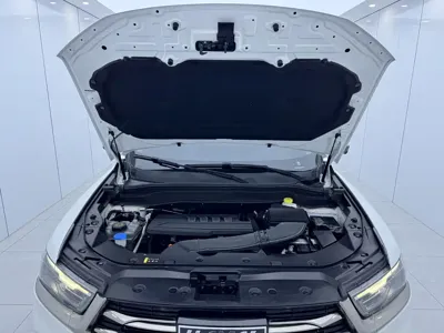 Haval H6 2023, 48000 км, за 69800 CNY - фото 16