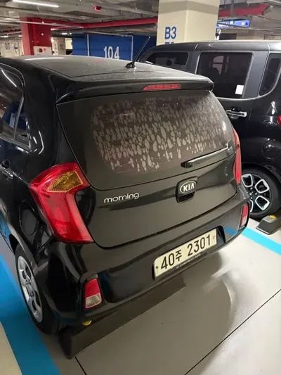 Kia Morning 2016, 76500 км, за 4600000 KRW