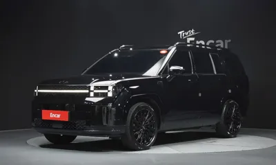 Hyundai Santafe · 2024 год