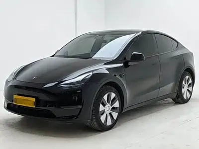 Tesla Model Y · 2023 год