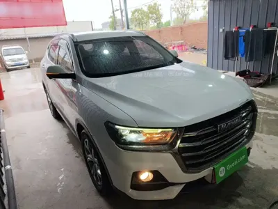 Haval H6 2022, 59800 км, за 57300 CNY - фото 22