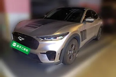 Ford Mustang Mach-E · 2021 год