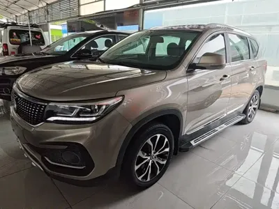 Fengxing X5 · 2017 год