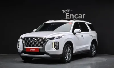Hyundai Palisade · 2019 год