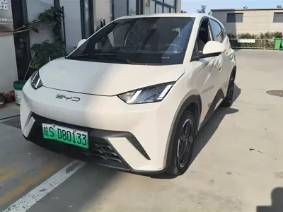 BYD Seagull · 2024 год
