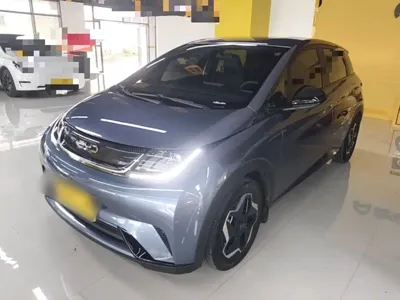 BYD Dolphin · 2025 год