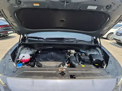 Hyundai Santafe 2023, 12030 км, за 32900000 KRW - фото 6