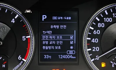 Hyundai Santafe 2019, 124004 км, за 99990000 KRW - фото 17