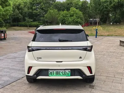 BYD Dolphin 2024, 28000 км, за 66800 CNY
