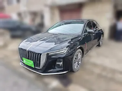 Hongqi Hongqi H5 · 2023 год