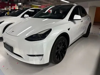 Tesla Model Y · 2021 год