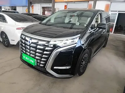 Denza Denza D9 · 2024 год