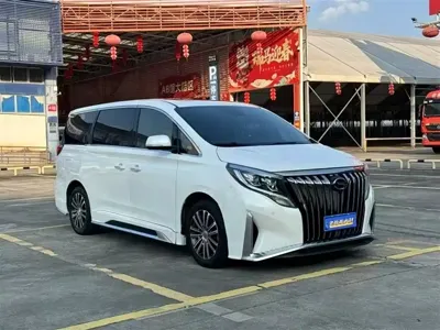 GAC Motor Trumpchi M8 · 2020 год