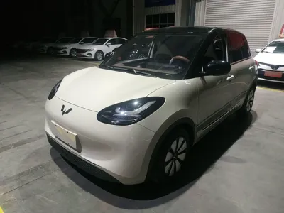 Wuling Bingguo · 2023 год