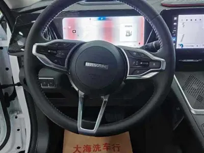 Haval Xiaolong Max 2025, 100 км, за 118800 CNY - фото 12