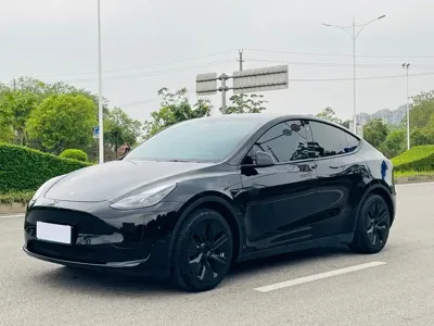 Tesla Model Y · 2022 год