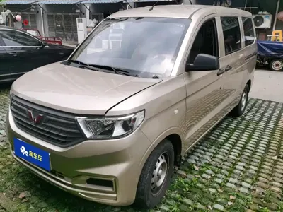 Wuling Hongguang · 2024 год
