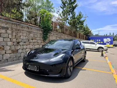 Tesla Model 3 · 2023 год
