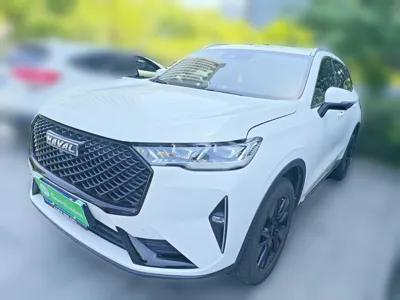 Haval H6 2021, 54300 км, за 75878.97 CNY - фото 1