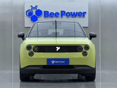 firefly萤火虫 firefly萤火虫 2025, 16500 км, за 95800 CNY