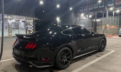Ford Mustang · 2019 год