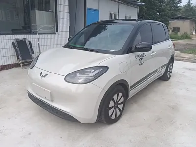 Wuling Bingo · 2025 год