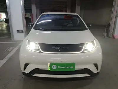 BYD Dolphin 2023, 29200 км, за 58099 CNY