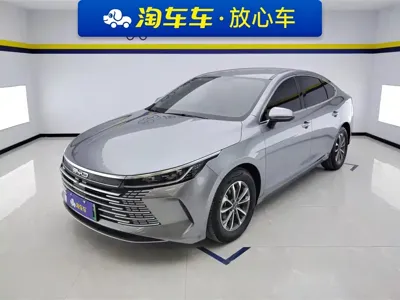 BYD Destroyer 05 · 2024 год