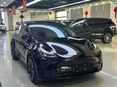 Tesla Model Y 2024, 78000 км, за 172800 CNY - фото 13