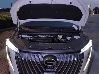 GAC Motor Trumpchi M8 2026, 4200 км, за 208100 CNY - фото 11
