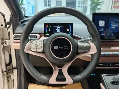 BYD Seagull 2024, 35000 км, за 45800 CNY - фото 9