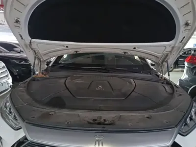 BYD PLUS New Energy 2021, 99500 км, за 59300 CNY - фото 20