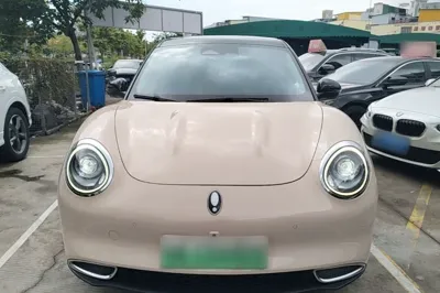 ORA Good Cat 2021, 64500 км, за 64679.6 CNY