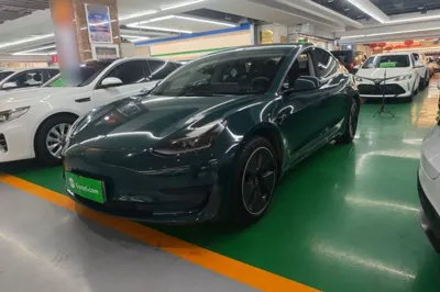 Tesla Model 3 · 2021 год