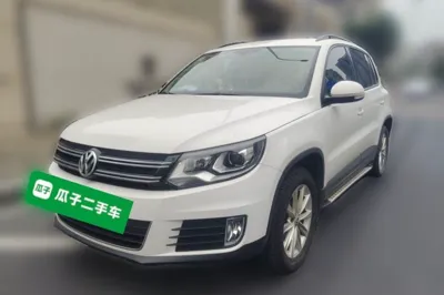 Volkswagen Tiguan · 2015 год