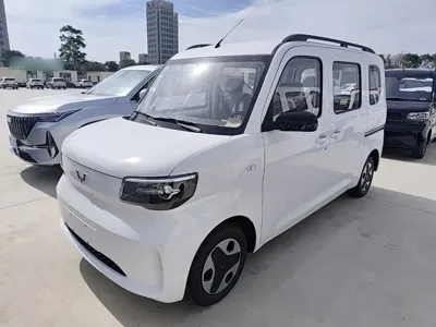 Wuling Zhiguang EV 2026, 100 км, за 51100 CNY
