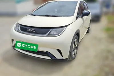 BYD Dolphin · 2025 год
