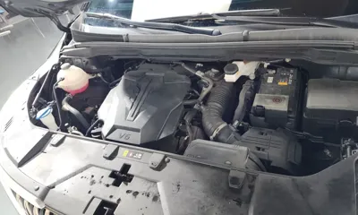 Kia Canival 2022, 54668 км, за 30700000 KRW - фото 6