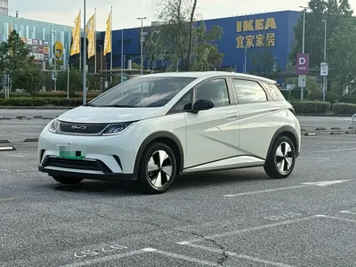 BYD Dolphin · 2024 год