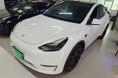 Tesla Model Y · 2021 год
