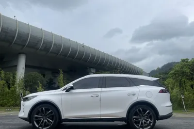 BYD Tang New Energy 2018, 23100 км, за 83791.77 CNY - фото 16