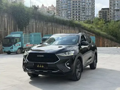 Haval F7 · 2020 год