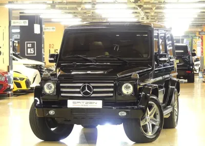 Mercedes-Benz G-Class · 2009 год