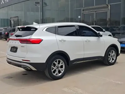 Haval H6 2023, 80000 км, за 53000 CNY - фото 6