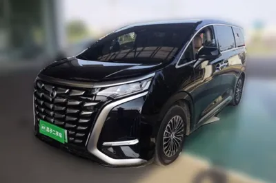 Denza D9 · 2022 год