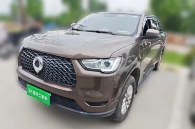 Great Wall Poer · 2019 год
